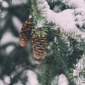 Meet your Posher, Jaycie